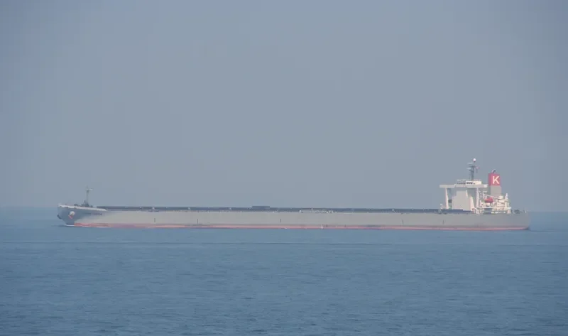 BERGE DINARA Bulk Carrier IMO 9273985 photo 9
