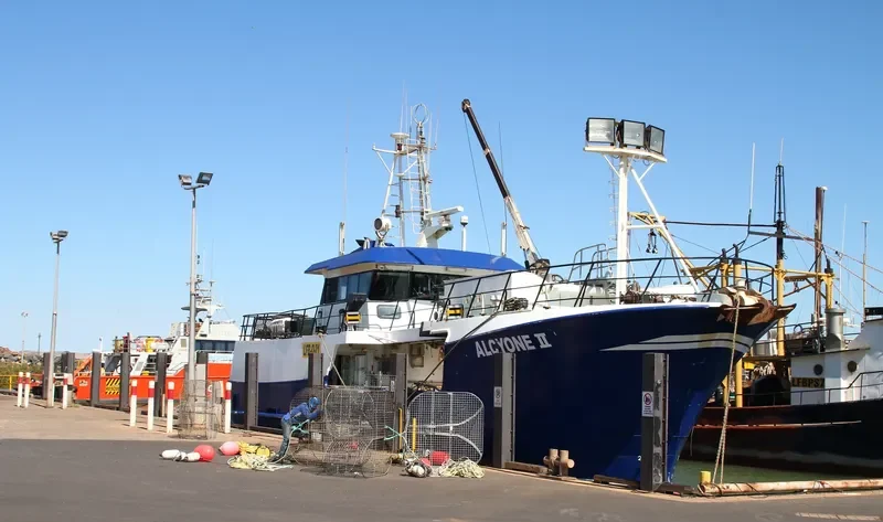 ALCYONE II General Cargo IMO 9274018