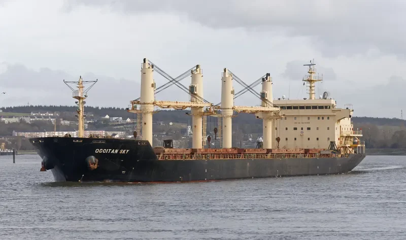 OCCITAN SKY Bulk Carrier IMO 9274355 photo 8