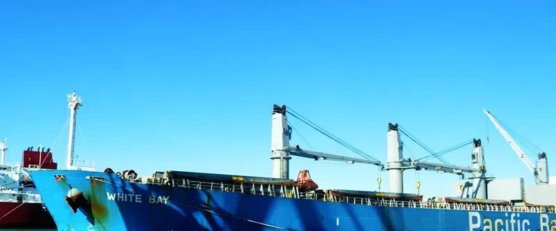 WHITE BAY Bulk Carrier IMO 9274460