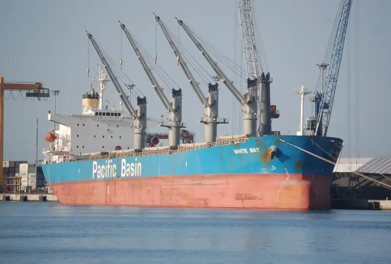 WHITE BAY Bulk Carrier IMO 9274460 photo 2