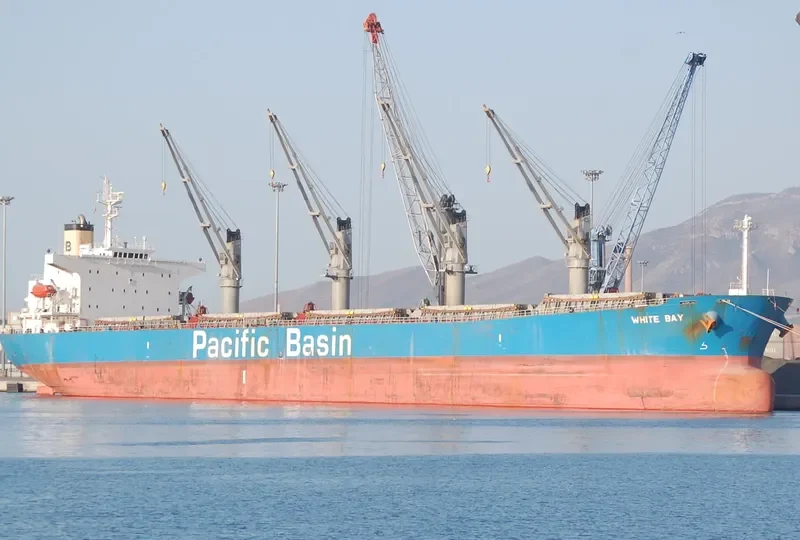 WHITE BAY Bulk Carrier IMO 9274460 photo 3
