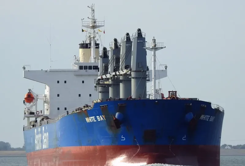 WHITE BAY Bulk Carrier IMO 9274460 photo 4