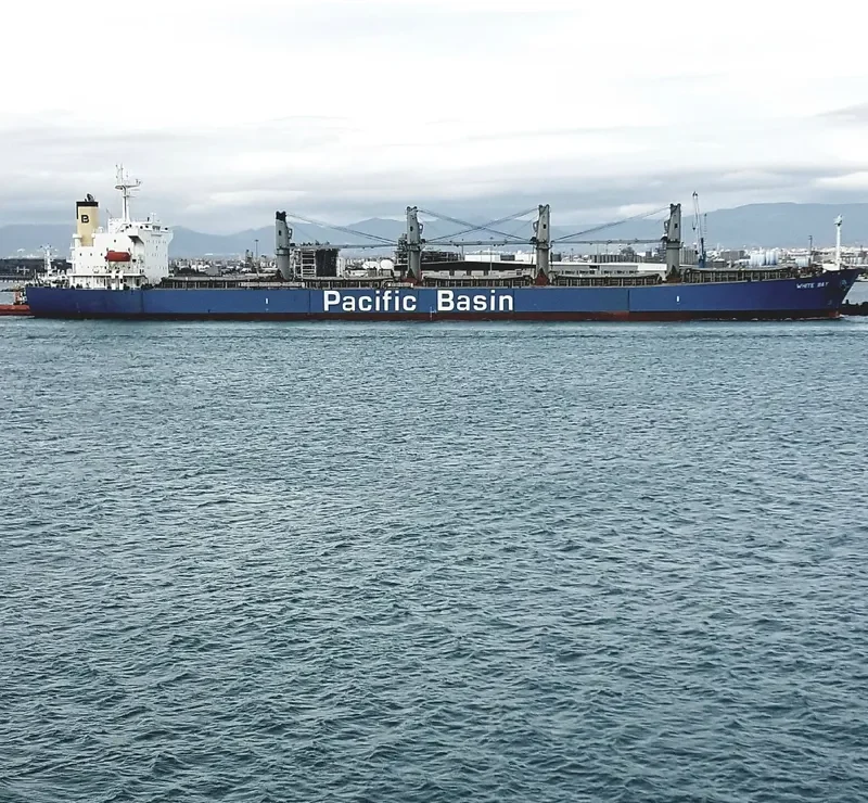 WHITE BAY Bulk Carrier IMO 9274460 photo 6
