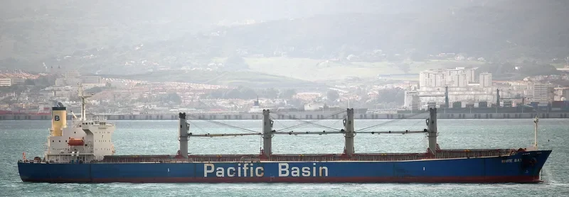WHITE BAY Bulk Carrier IMO 9274460 photo 8