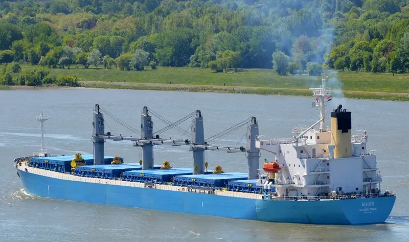WHITE BAY Bulk Carrier IMO 9274460 photo 10