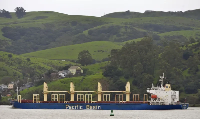 SUN RUBY Bulk Carrier IMO 9274551 photo 2