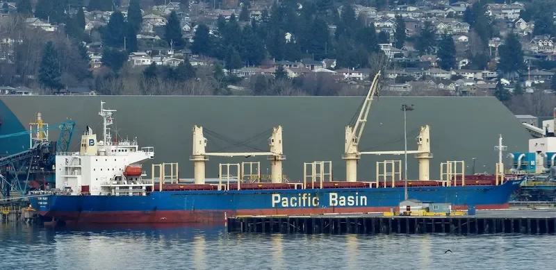 SUN RUBY Bulk Carrier IMO 9274551 photo 7