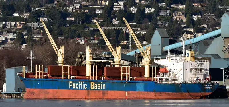 SUN RUBY Bulk Carrier IMO 9274551 photo 9