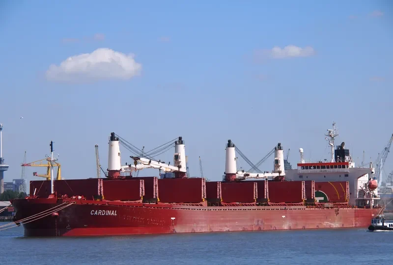 CARDINAL Bulk Carrier IMO 9274575 photo 2
