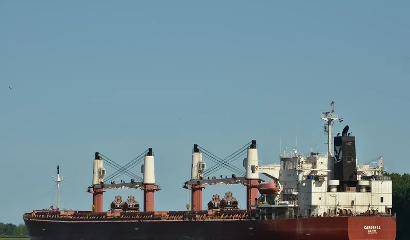 CARDINAL Bulk Carrier IMO 9274575 photo 6