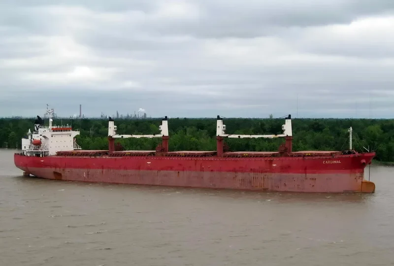 CARDINAL Bulk Carrier IMO 9274575 photo 10