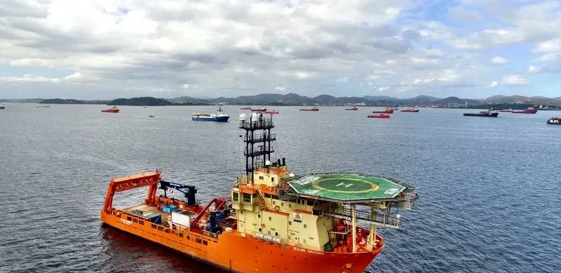 PARCEL DAS TIMBEBAS Offshore Vessel IMO 9274862 photo 3