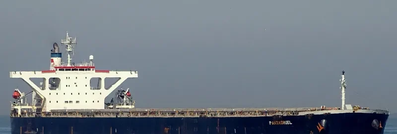 PANTAGRUEL Bulk Carrier IMO 9274903