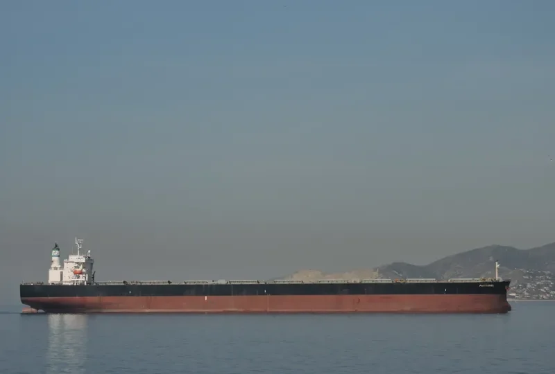 PANTAGRUEL Bulk Carrier IMO 9274903 photo 3