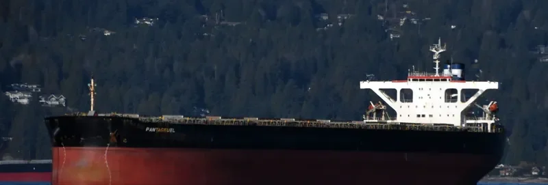 PANTAGRUEL Bulk Carrier IMO 9274903 photo 10