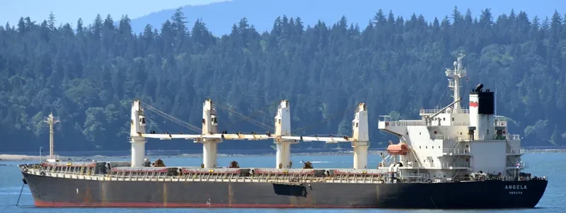 JI HONG Bulk Carrier IMO 9274915