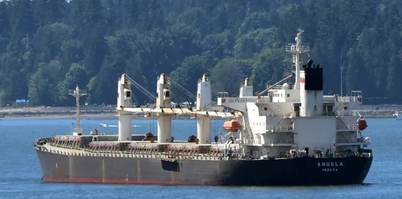 JI HONG Bulk Carrier IMO 9274915 photo 2