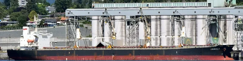 JI HONG Bulk Carrier IMO 9274915 photo 3