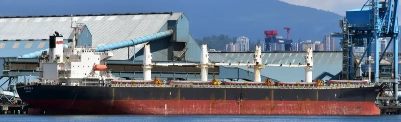 JI HONG Bulk Carrier IMO 9274915 photo 4