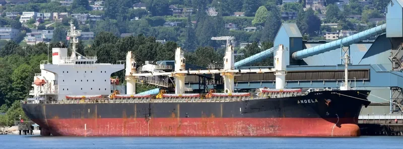 JI HONG Bulk Carrier IMO 9274915 photo 5