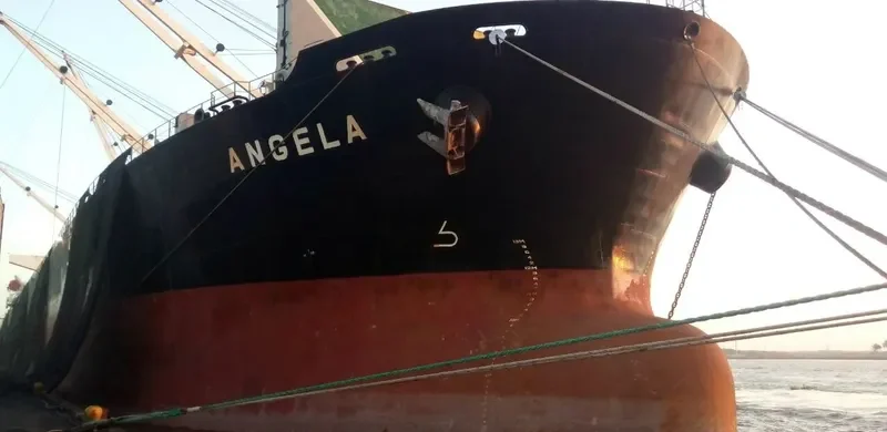 JI HONG Bulk Carrier IMO 9274915 photo 6
