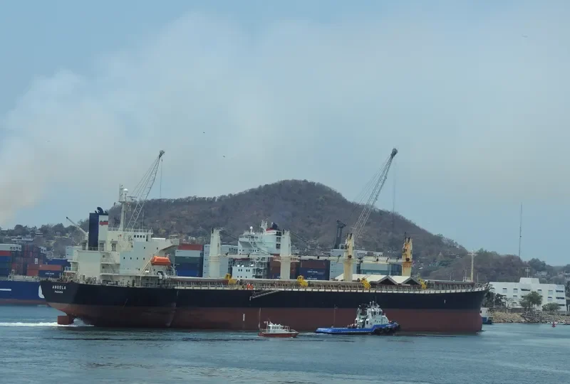 JI HONG Bulk Carrier IMO 9274915 photo 7
