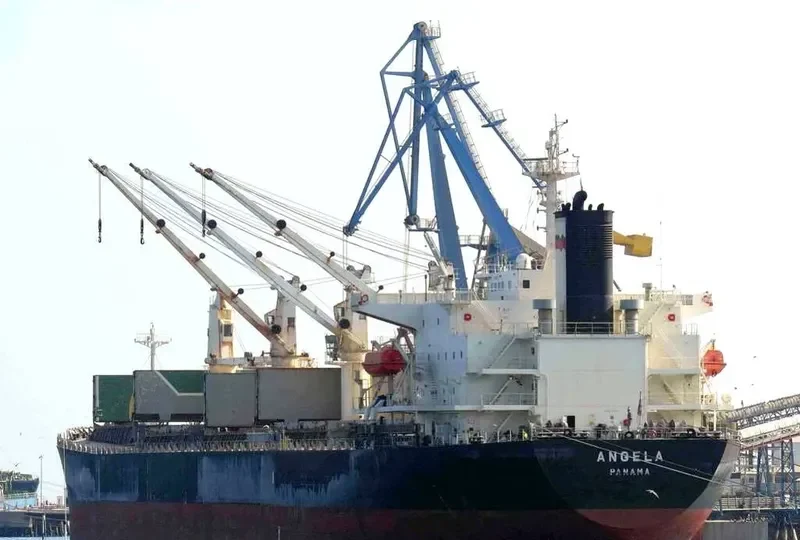 JI HONG Bulk Carrier IMO 9274915 photo 8