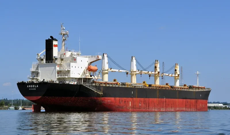 JI HONG Bulk Carrier IMO 9274915 photo 9