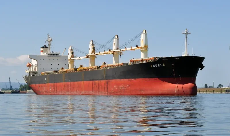 JI HONG Bulk Carrier IMO 9274915 photo 10