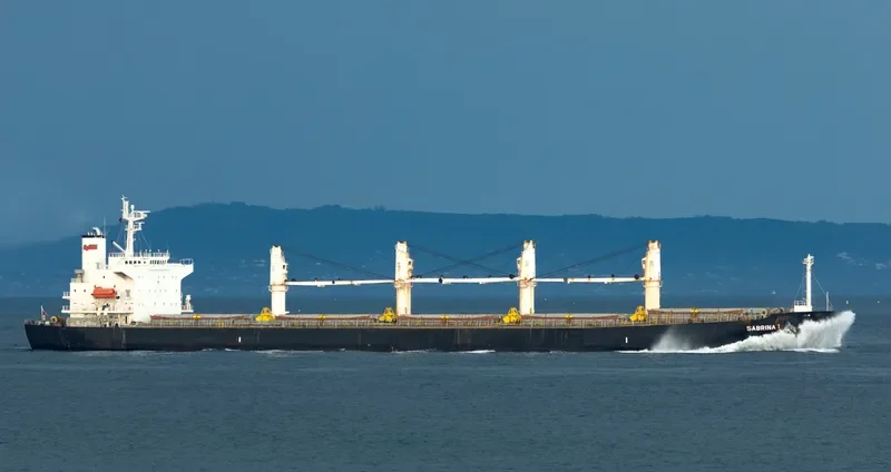 PACIFIC SOPHIA Bulk Carrier IMO 9274927