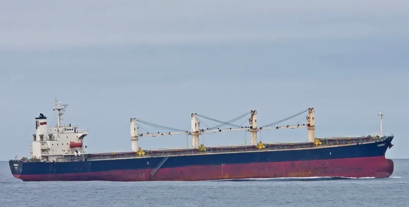 PACIFIC SOPHIA Bulk Carrier IMO 9274927 photo 3