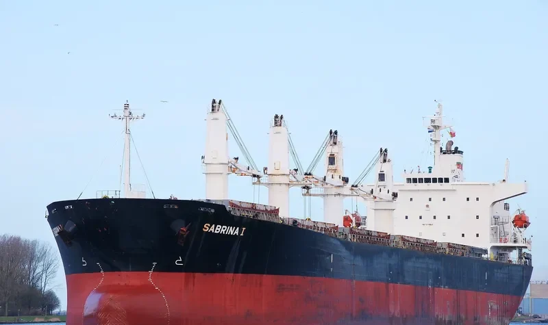 PACIFIC SOPHIA Bulk Carrier IMO 9274927 photo 6