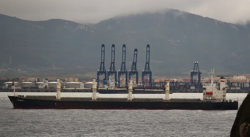 PACIFIC FRIEDA Bulk Carrier IMO 9274939