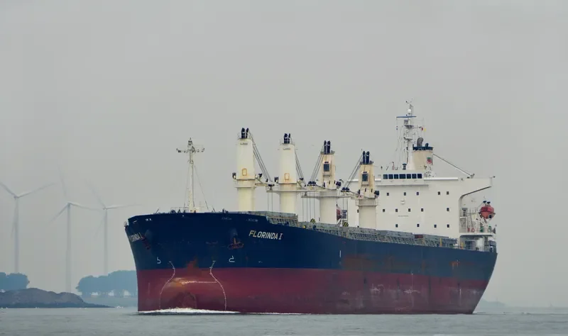 PACIFIC FRIEDA Bulk Carrier IMO 9274939 photo 3