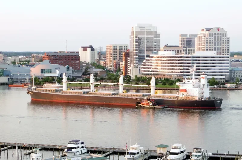 PACIFIC FRIEDA Bulk Carrier IMO 9274939 photo 9