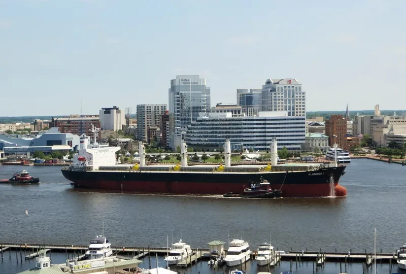 PACIFIC FRIEDA Bulk Carrier IMO 9274939 photo 10