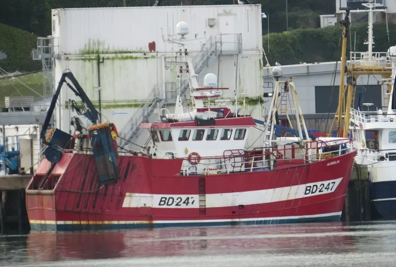 AURELIA General Cargo IMO 9274977