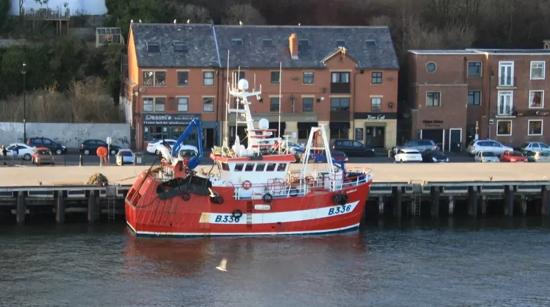 AURELIA General Cargo IMO 9274977 photo 7