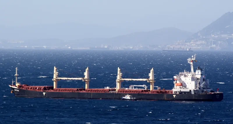 AKSON SERIN Bulk Carrier IMO 9275311 photo 10