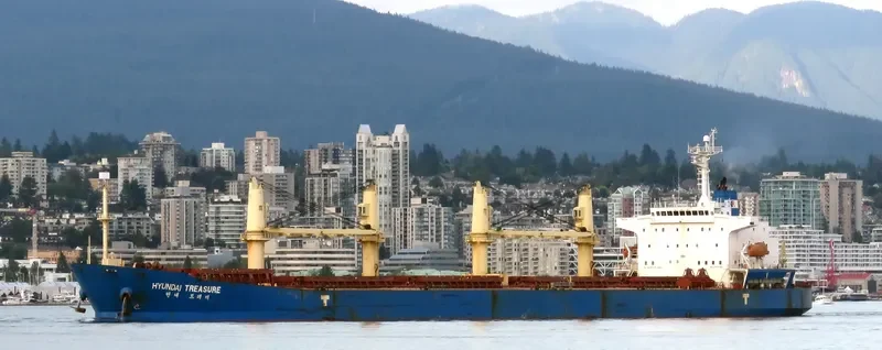 S BRILLIANT Bulk Carrier IMO 9275323