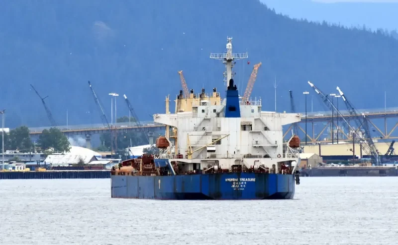 S BRILLIANT Bulk Carrier IMO 9275323 photo 2
