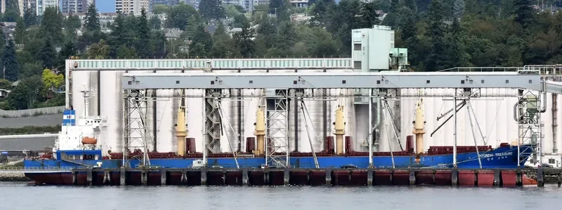 S BRILLIANT Bulk Carrier IMO 9275323 photo 5