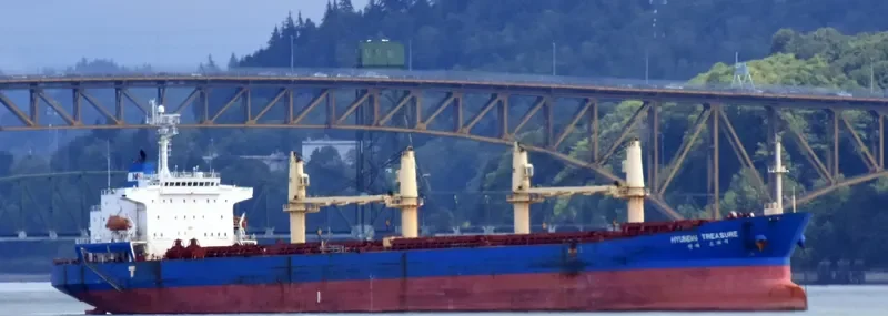 S BRILLIANT Bulk Carrier IMO 9275323 photo 6
