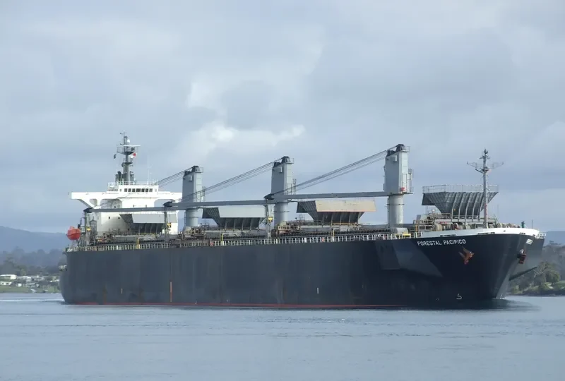FORESTAL PACIFICO Bulk Carrier IMO 9275488 photo 3