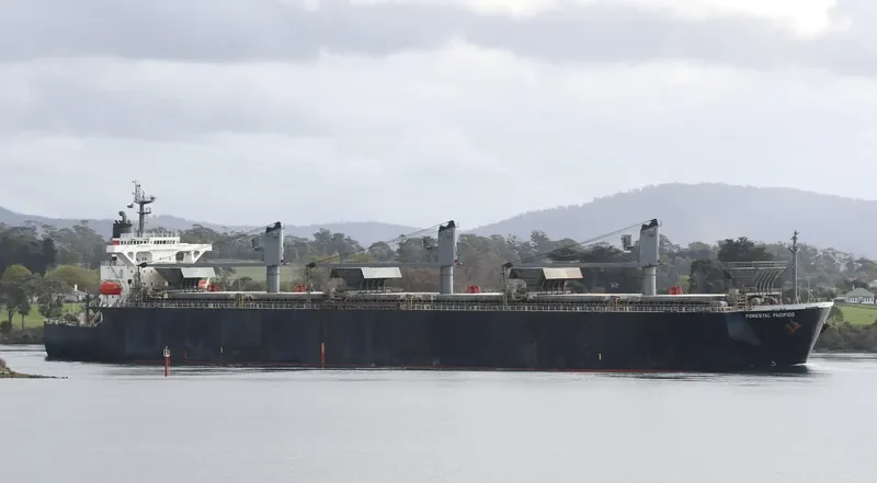 FORESTAL PACIFICO Bulk Carrier IMO 9275488 photo 4