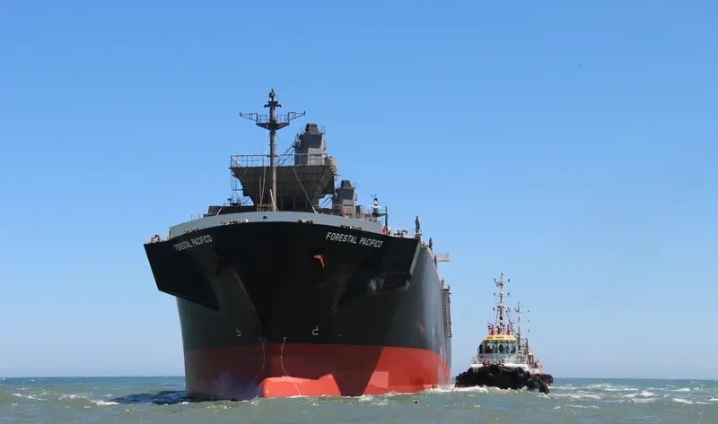 FORESTAL PACIFICO Bulk Carrier IMO 9275488 photo 5