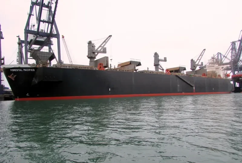 FORESTAL PACIFICO Bulk Carrier IMO 9275488 photo 7