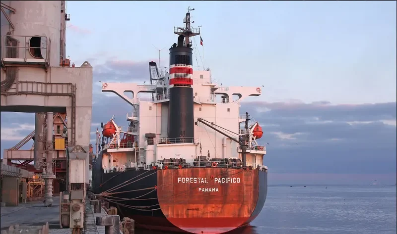 FORESTAL PACIFICO Bulk Carrier IMO 9275488 photo 8