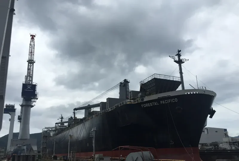 FORESTAL PACIFICO Bulk Carrier IMO 9275488 photo 9